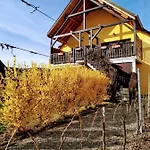 דירה Alsace Meyer-krumb Sigolsheim