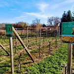 Alsace Meyer-krumb *