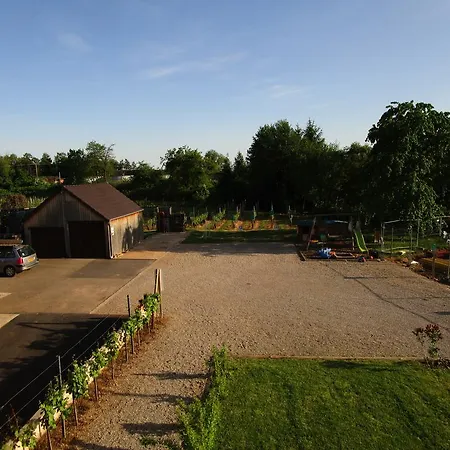 Apartment Alsace Meyer-krumb Sigolsheim