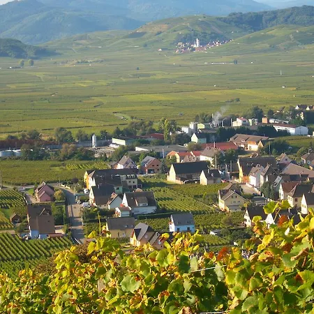 Appartement Alsace Meyer-krumb *