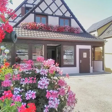 Alsace Meyer-krumb Appartement