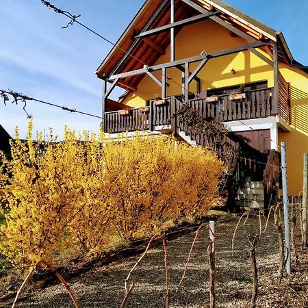 Appartement Alsace Meyer-krumb Sigolsheim